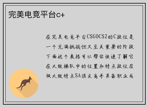 完美电竞平台c+